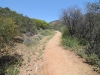 2016-04-30 Sandstone Peak 002