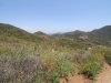 2016-04-30 Sandstone Peak 006