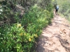 2016-04-30 Sandstone Peak 021