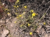 2016-04-30 Sandstone Peak 027