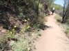 2016-04-30 Sandstone Peak 029