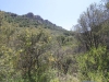 2016-04-30 Sandstone Peak 089