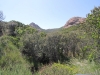 2016-04-30 Sandstone Peak 098