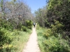 2016-04-30 Sandstone Peak 105