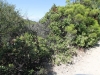 2016-04-30 Sandstone Peak 107