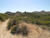 2016-04-30 Sandstone Peak 113