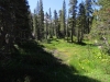 Agnew-Meadows-Lake-Ediza-0073