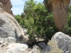 Andreas Canyon 023.JPG