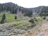 Bighorn Mine Trail 002