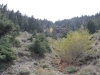 Bighorn Mine Trail 010