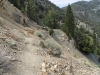 Bighorn Mine Trail 019