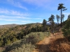 Blue Ridge West via PCT 0026