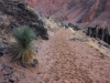 Bright Angel Trail 0020