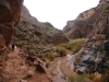 Bright Angel Trail 0049