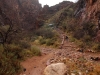 Bright Angel Trail 0051