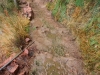 Bright Angel Trail 0065