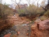 Bright Angel Trail 0082