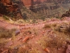 Bright Angel Trail 0148