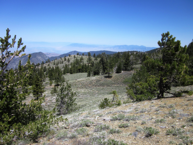 May 18, 2013 – Cerro Noroeste/Mt. Pinos (2x)/Sawmill Mountain (2x ...