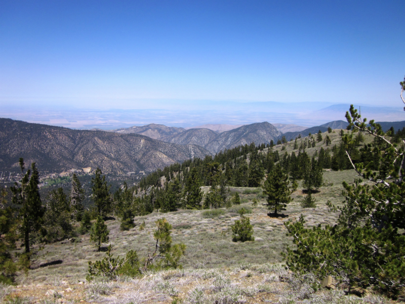 May 18, 2013 – Cerro Noroeste Mt. Pinos (2x) Sawmill Mountain (2x 