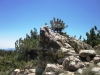 cerro-noroeste-to-mt-pinos-033