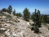 cerro-noroeste-to-mt-pinos-034