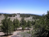 cerro-noroeste-to-mt-pinos-037