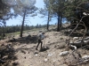 cerro-noroeste-to-mt-pinos-065