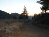 Cleghorn Pass - Vincent Gap 016.JPG