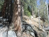 Cooper Canyon Falls 008.JPG