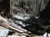 Cooper Canyon Falls 034.JPG