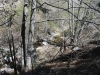 Cooper Canyon Falls 037.JPG