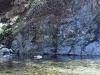 Cooper Canyon Falls 058.JPG