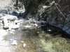 Cooper Canyon Falls 074.JPG