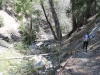 Cooper Canyon Falls 106.JPG