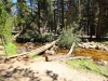 Cottonwood-Lakes-Trail-0006