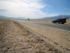 2016-03-04 Death Valley Wildflowers I 012