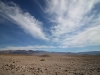 2016-03-04 Death Valley Wildflowers I 025