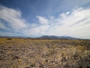 2016-03-04 Death Valley Wildflowers I 037