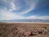 2016-03-04 Death Valley Wildflowers I 054