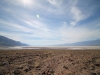 2016-03-04 Death Valley Wildflowers I 055