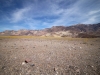 2016-03-04 Death Valley Wildflowers I 080