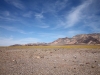 2016-03-04 Death Valley Wildflowers I 085