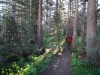 Garnet-Lake-Agnew-Meadows-0032