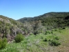 gaviota-peak-016