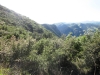 gaviota-peak-062