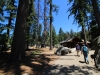 General Sherman Tree 006