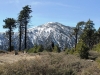 Grassy Hollow PCT 005