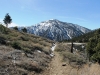 Grassy Hollow PCT 008