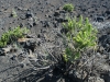 haleakala-crater-025